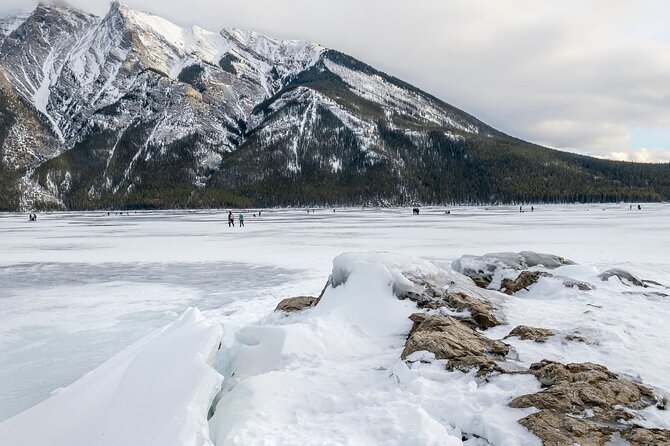 Explore Banff + Wildlife - Bow Falls and the power of the Bow River
