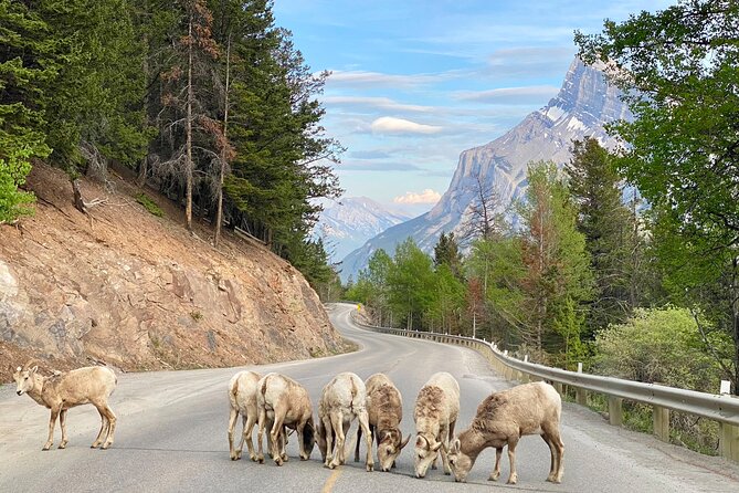 Explore Moraine Lake, Banff, Lake Louise & Minnewanka - Moraine Lake and the Valley of the Ten Peaks