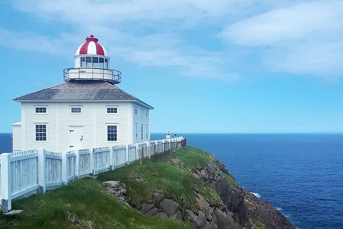 Explore St. John's Scenic Bus Tour to Cape Spear and Quidi Vidi - Why this St. John’s route works so well