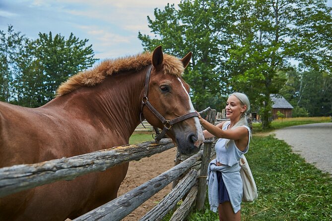 Family visit to the Acadian Historic Village - A strong choice for families, with one timing warning