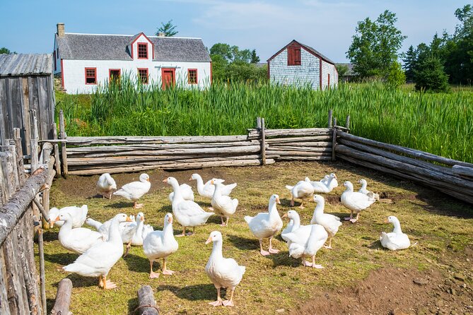 Family visit to the Acadian Historic Village - What to bring and how to pace the visit
