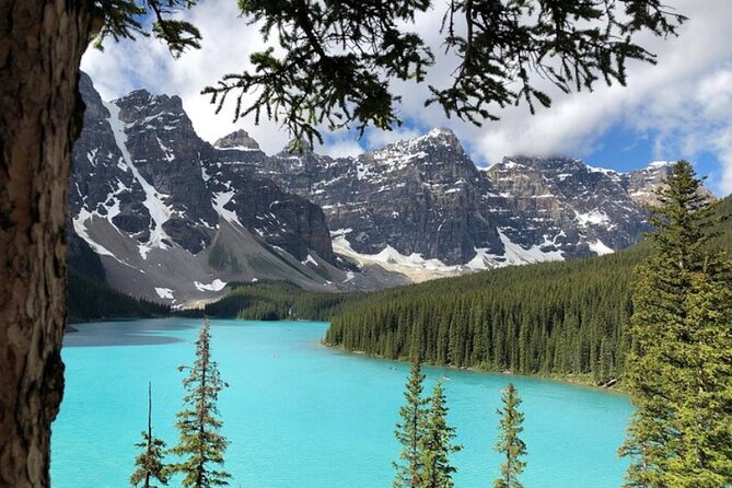 Famous Moraine Lake and Lake Louise Shared Shuttle Tour - Starting with one hour on Banff Avenue