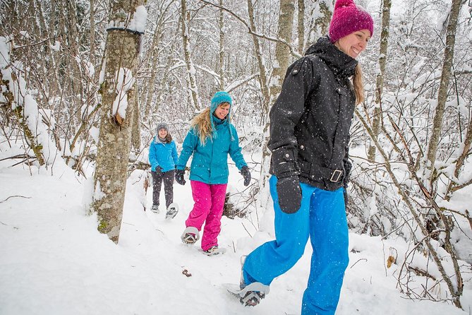 Fire Man Guided Snowshoe Tour in Mont-Tremblant - What happens when the snow disappears?