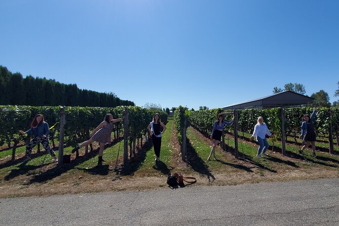 Fraser Valley Wine Tour from Vancouver with a Light Lunch - What you are paying for at $135.11