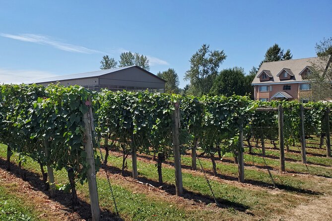 Fraser Valley Wine Tour from Vancouver with a Light Lunch - Township 7 offers the first serious tasting