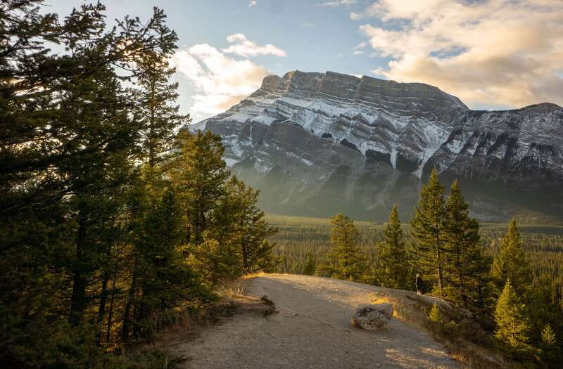 From Banff: Banff Wildlife & Scenic Highlights Premium Tour - Pickup in Banff and the small-group vehicle
