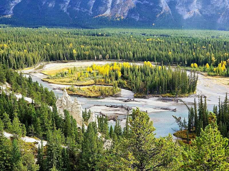 From Banff/Canmore: Deep 1 Day Tour in Banff National Park - Vermilion Lakes brings the mountains close
