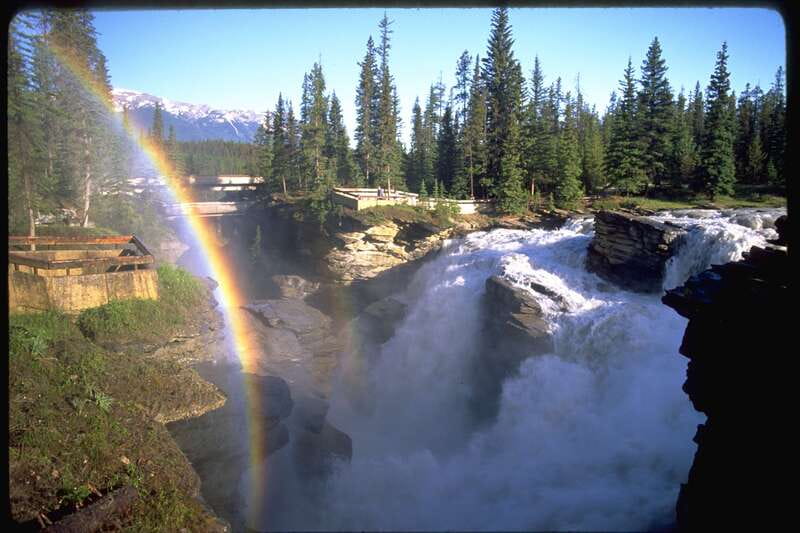 From Banff/Lake Louise: 1-Way Sightseeing Tour to Jasper - Peyto Lake is a worthwhile short walk