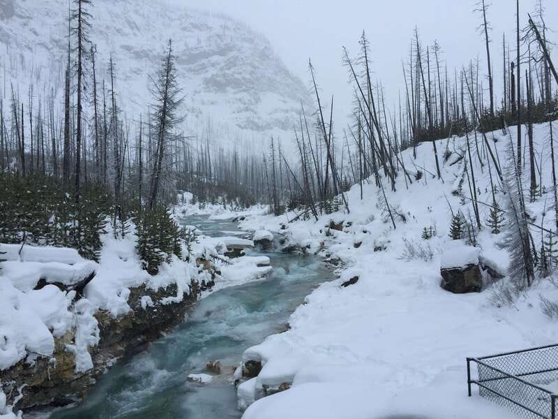 From Banff: Marble & Johnston Canyon Icewalk Combo - Johnston Canyon: catwalks, blue ice, and the Lower Falls tunnel