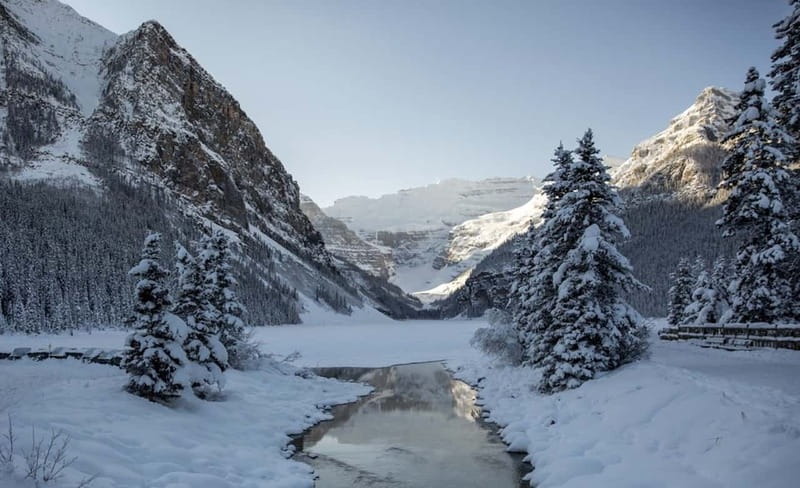 From Banff: Winter Wonderland; Lake Louise & Johnston Canyon - Lake Louise: skating beneath snowy peaks