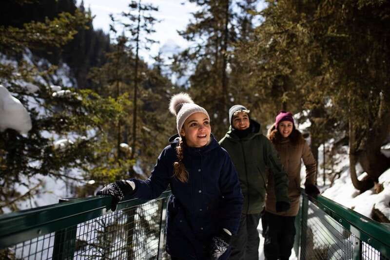 From Banff: Winter Wonderland; Lake Louise & Johnston Canyon - Starting in Banff with a scenic hour on the road