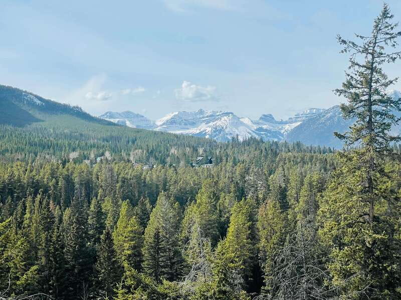 From Calgary: Banff, Moraine Lake and Lake Louise Tour - Johnston Canyon after Moraine Lake closes