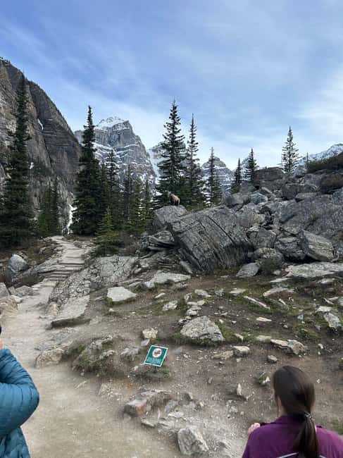 From Calgary/Banff: Moraine Lake & Lake Louise Half-Day Tour - Who will get the most from this tour