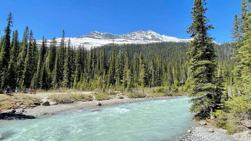 From Calgary: Banff & Yoho National Parks Private Day Tour - What the private format really adds