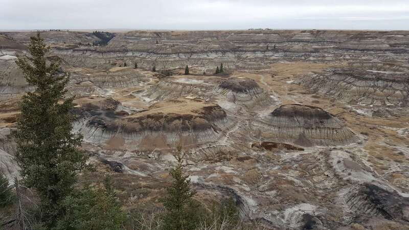 From Calgary: Canadian Badlands Private Geological Tour - What the private price really covers