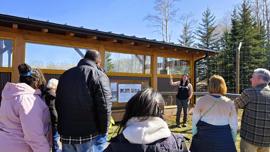 From Calgary to Banff: Day Trip with Wolfdog Sanctuary Visit - From Calgary to Cochrane and Kananaskis Country