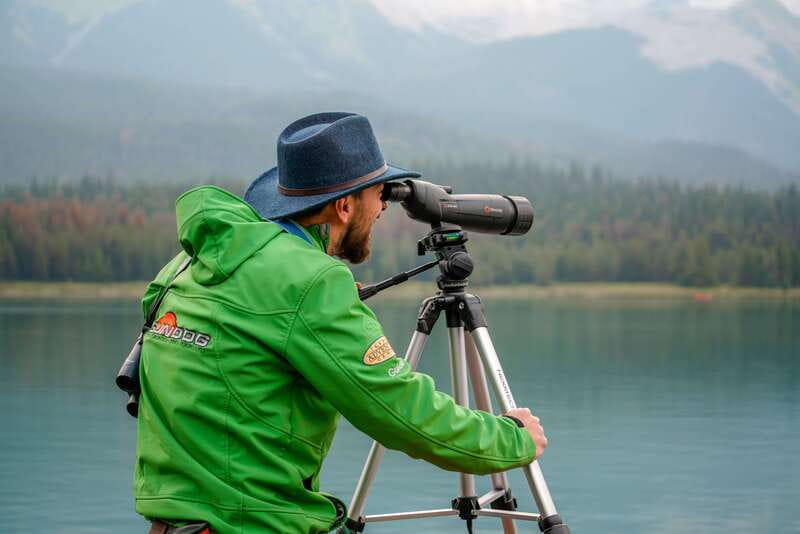 From Jasper: Jasper National Park Wildlife Discovery Tour - Key points to know before you book
