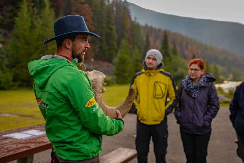 From Jasper: Jasper National Park Wildlife Discovery Tour - From Jasper pickup to the first views