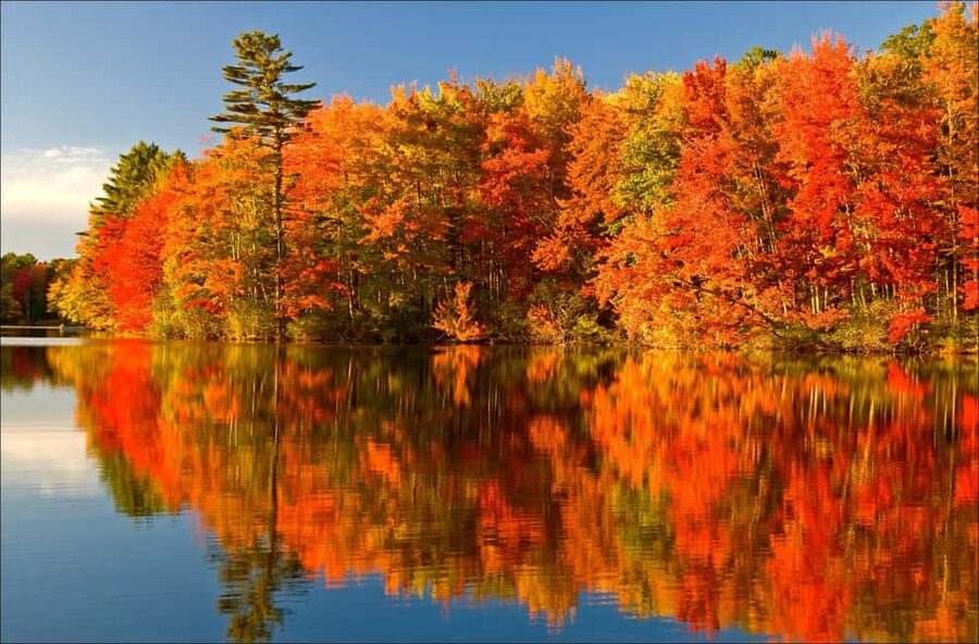 From Montréal: Mont-Tremblant 1-Day Tour - Sentier des Cimes: the day’s most distinctive walk