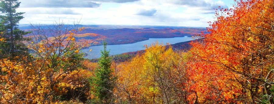 From Montréal: Mont-Tremblant 1-Day Tour - What the CAD 107 price really covers
