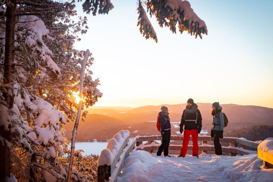 From Montreal: Mont-Tremblant National Park Hiking Day Trip - Forest trails, river paths, and Chute-aux-rats