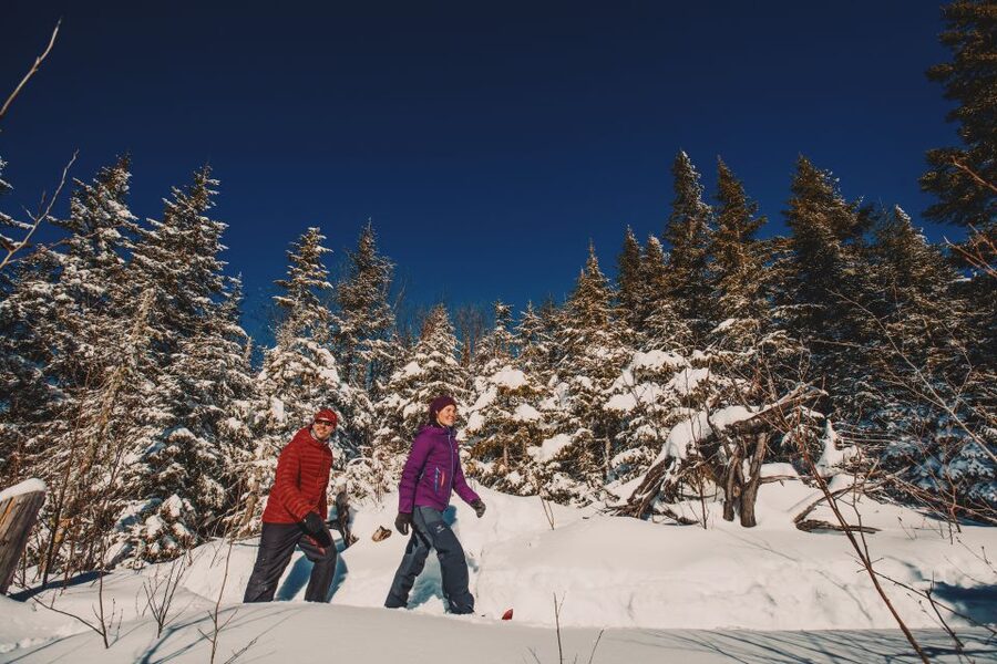 From Montreal: Mont-Tremblant National Park Hiking Day Trip - Mont-des-Cascades, L’Envol, and Le Geai Bleu