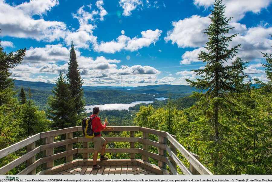 From Montreal: Mont-Tremblant National Park Hiking Day Trip - A picnic in the Quebec woods
