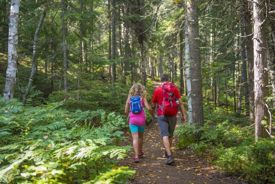 From Montreal: Mont-Tremblant National Park Hiking Day Trip - What the ride home looks like