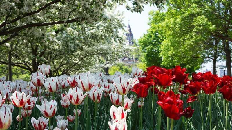 From Montreal: Private Ottawa Full Day Tour - Final verdict: a comfortable capital-city sampler