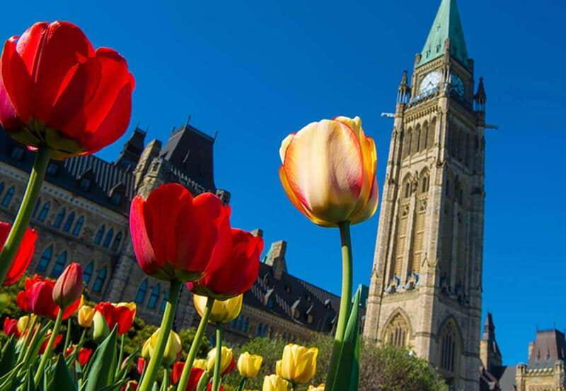 From Montreal: Private Ottawa Full Day Tour - Three hours on the road, without the usual transport hassle