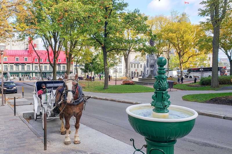 From Montreal: Quebec City and Montmorency Falls Day Trip - Who should book this $36 excursion?