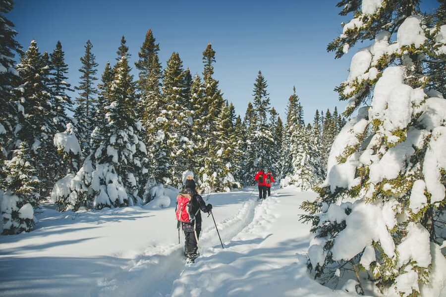 From Montreal: Sept-Chutes Regional Park Hike - Is $73 a fair price?