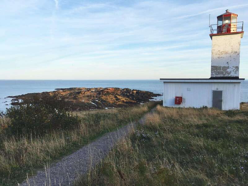 From Saint John: Bay of Fundy Bus Trip for Cruise Passengers - Carleton Martello Tower and Canada’s wartime past