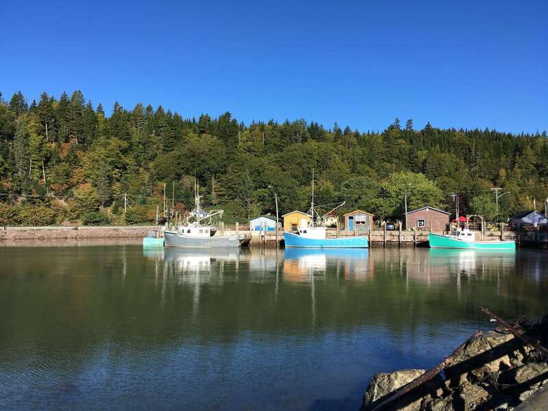 From Saint John: Bay of Fundy Bus Trip for Cruise Passengers - Reversing Falls, where the river changes its mind