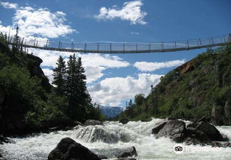 From Skagway: White Pass and Yukon Suspension Bridge Tour - Why this Skagway to Yukon road trip works