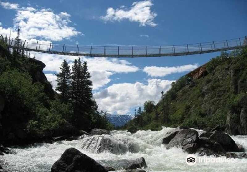 From Skagway: White Pass and Yukon Suspension Bridge Tour - Which guides and groups are the best fit