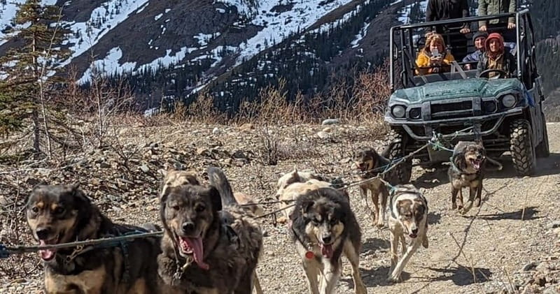 From Skagway: Yukon Sled Dog Mushing & White Pass Combo - Fraser, British Columbia, and the Yukon border