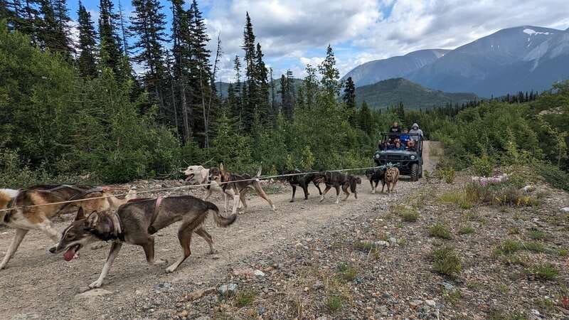 From Skagway: Yukon Sled Dog Mushing & White Pass Combo - Is $194 a fair price?