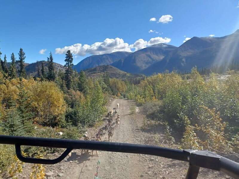 From Skagway: Yukon Sled Dog Mushing & White Pass Combo - Practical advice before you go
