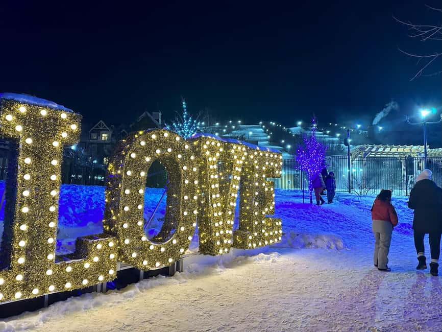 From Toronto: Blue Mountain Day Trip Skiing Snowboarding - Key points to know before you book