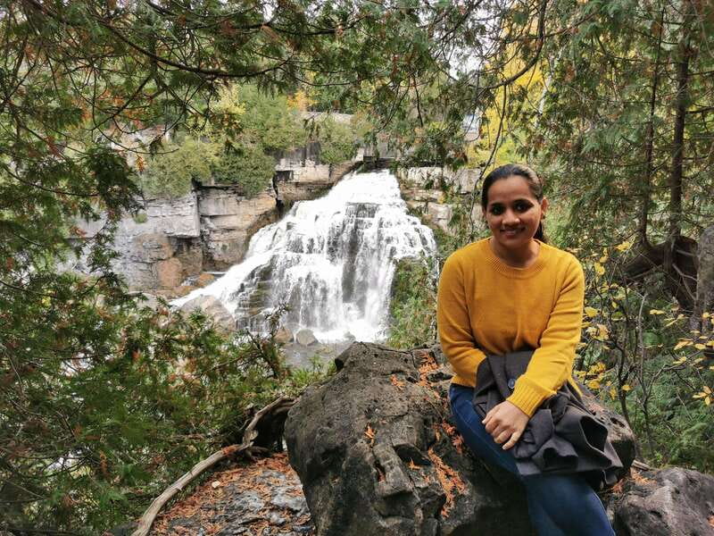 From Toronto: Bruce Peninsula National Park Guided Day Trip - Summer, winter, rain, and changing plans