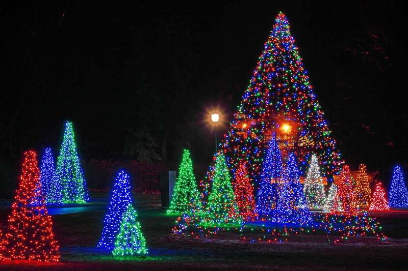 From Toronto: Winter Festival of Lights Niagara Falls Tour - Who will get the most from this tour