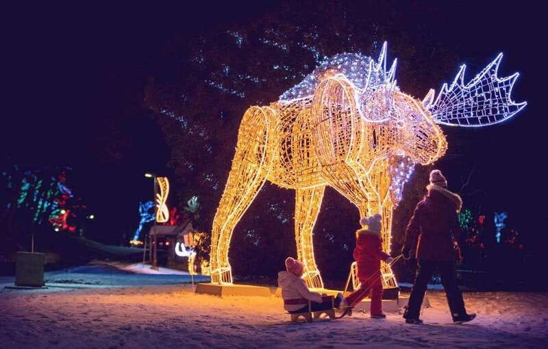From Toronto: Winter Festival of Lights Niagara Falls Tour - From Toronto to Niagara Falls by coach