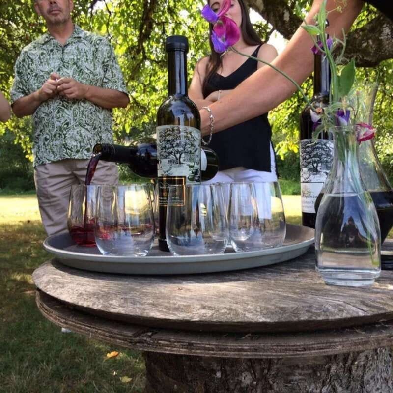 From Vancouver: Fraser Valley Wine Tour with Local Tastings - Cancellation and booking flexibility