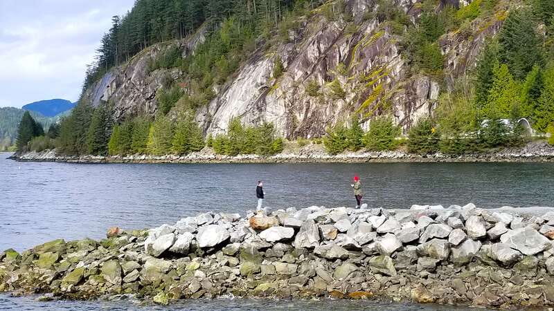 From Vancouver: Shannon Falls and Whistler Sightseeing Tour - Reliability and booking details to check
