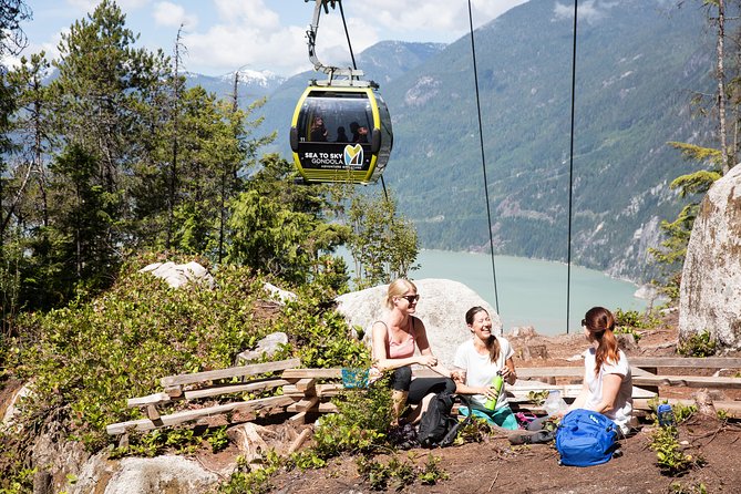 From Vancouver: Whistler & Sea to Sky Gondola with Shannon Falls - Guides make the long drive easier