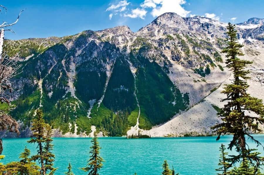 From Vancouver: Whistler Tour with Shannon Falls and Gondola - Shannon Falls is a short stop with a big payoff