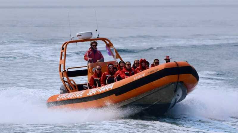 From Victoria: Whale Watching Tour by Zodiac Boat - What rough water really means