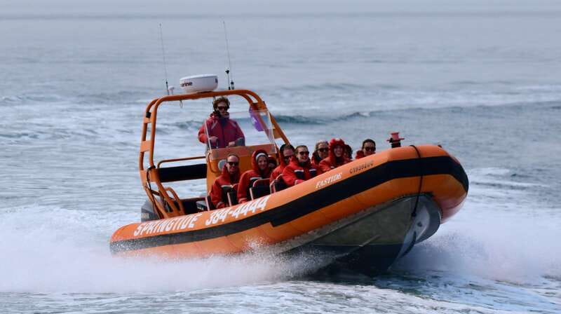 From Victoria: Whale Watching Tour by Zodiac Boat - Crossing the Salish Sea in an open Zodiac