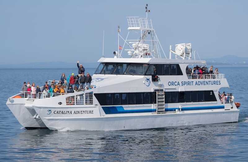 From Victoria: Whale Watching Trip on Covered Boat - Indoor comfort, outdoor views, and what to wear